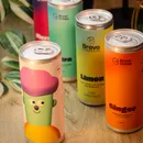 Kombucha artesana Brava
